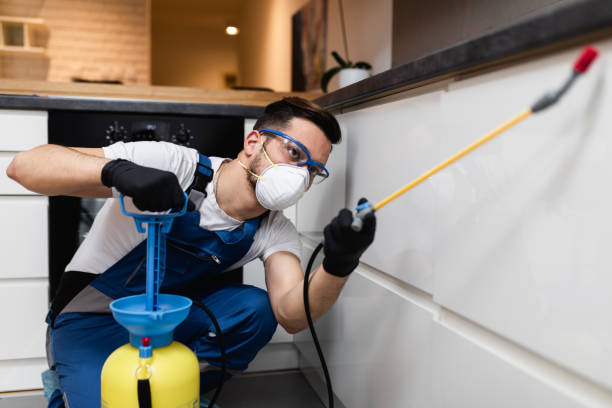 Trusted Apalachin, NY Pest Control Experts