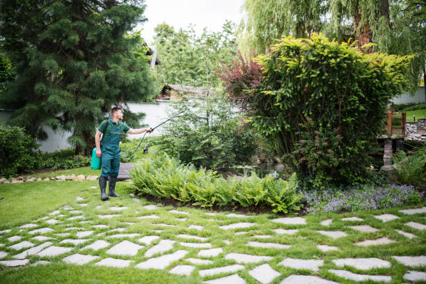Best Insect Control  in Apalachin, NY