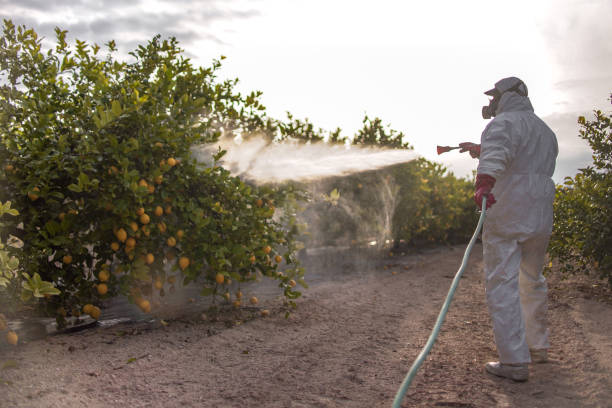 Pest Control for Restaurants in Apalachin, NY