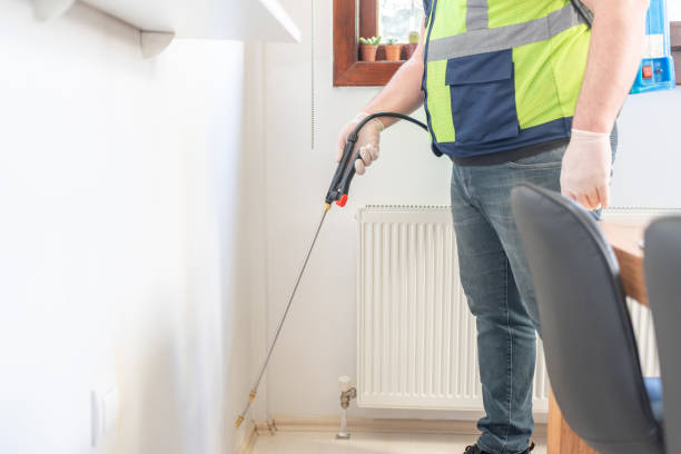 Best Pest Control Near Me  in Apalachin, NY